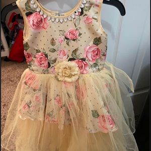 I have 5 used like new dress for 3T and 4T 5T on sale for $10 to $15 range